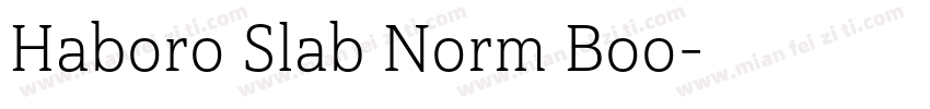 Haboro Slab Norm Boo字体转换